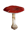Vintage Art Fly Agaric Mushroom