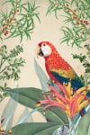 Vintage Tropical Plants Parrot