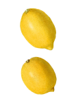 Vintage Lemon Fruit Fruit