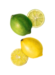 Vintage Lemon Fruit Fruit