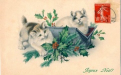 Christmas Old Postcard Cats