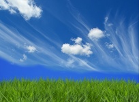Meadow Field Clouds Sky
