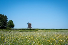 Windmill, Landscape