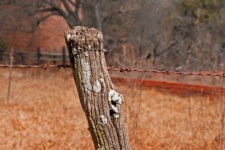 Wooden Post With Rusted Barbed Wire
