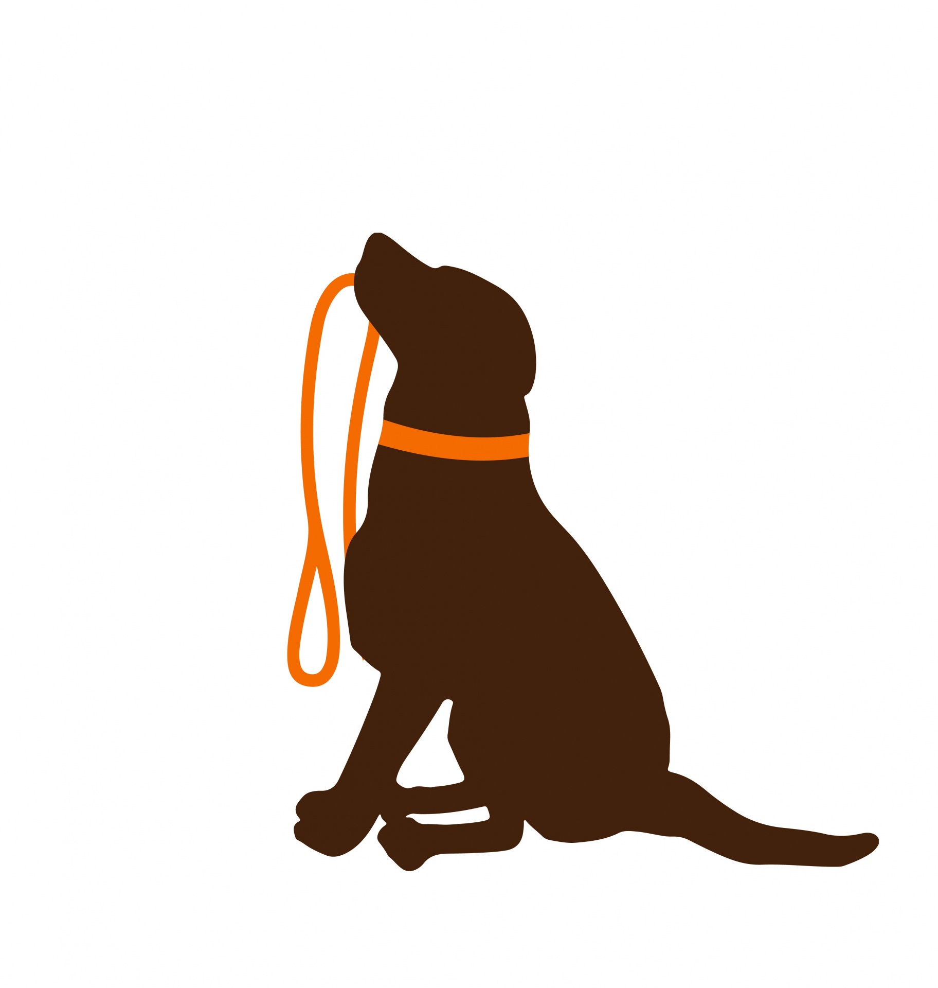 dog-sitting-holding-leash-free-stock-photo-public-domain-pictures