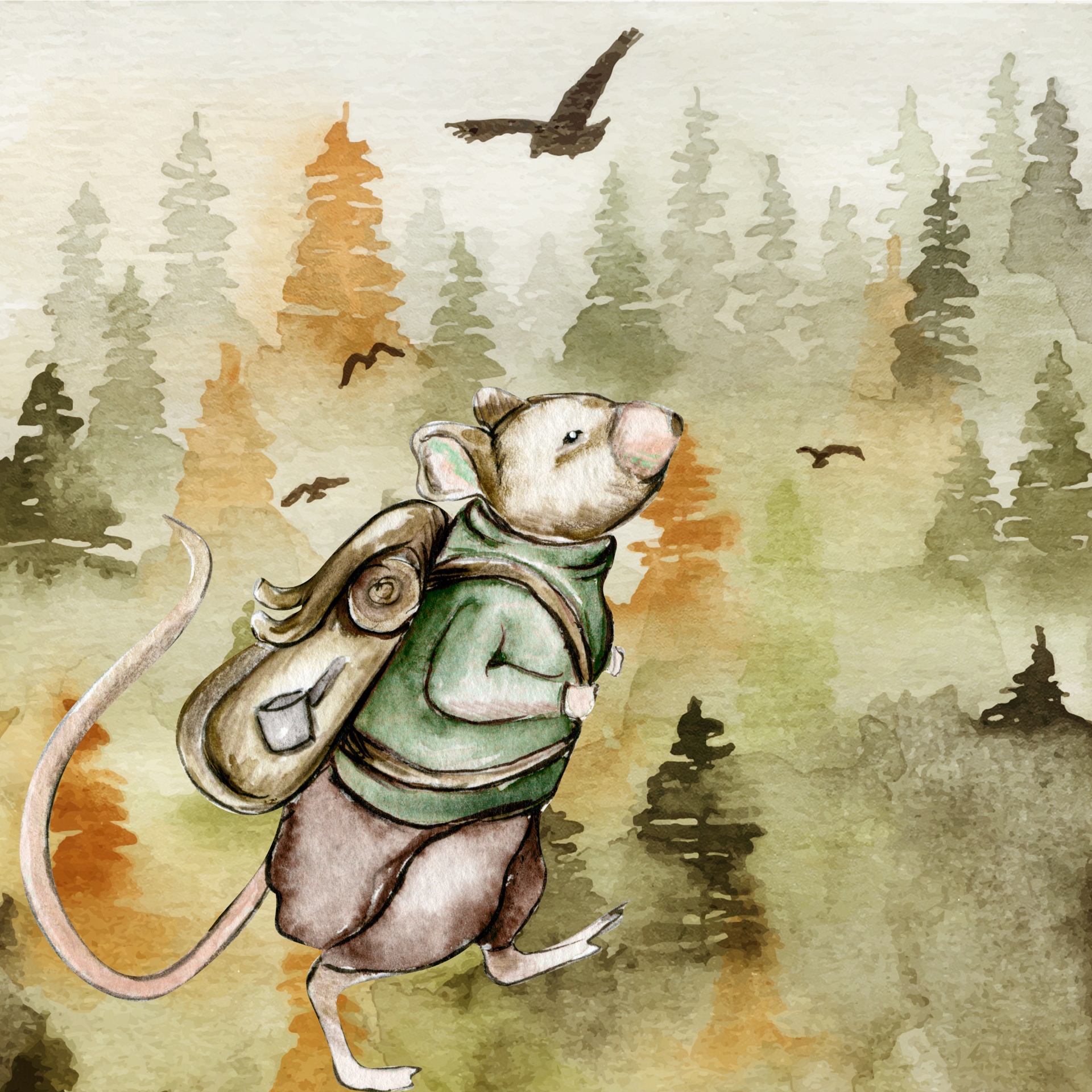 Hiking Mouse In Forest