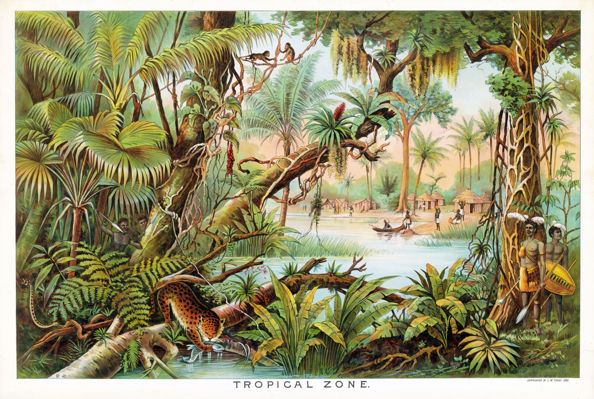 Vintage art illustration tropical rainforest landscape animals hand drawn drawing painting old antique public domain natural history poster print