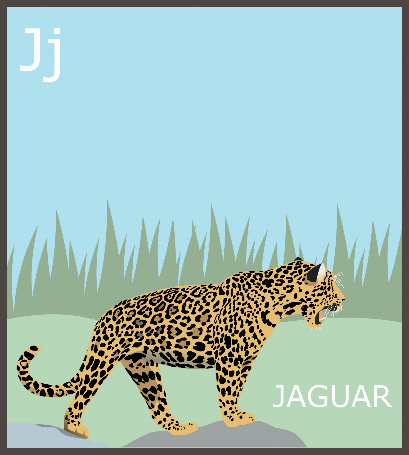 Letter J for jaguar, animal alphabet for kids, flash card, educational, learning, abc, art illustration
