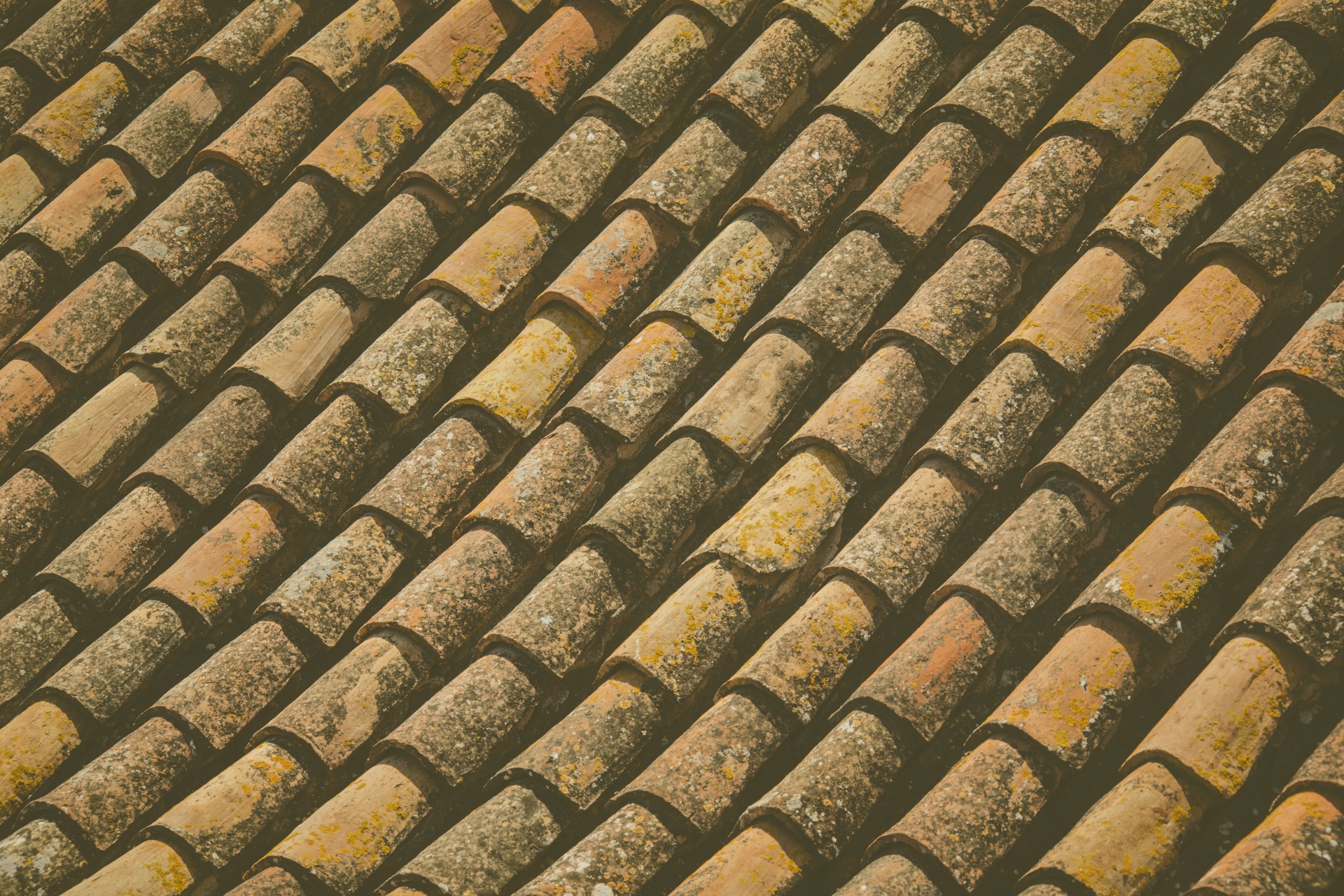 Old Terracotta Roof Tiles