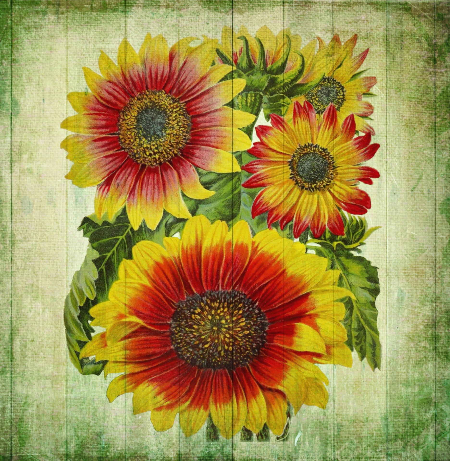 Vintage art collage flower sunflowers with red yellow petals on green canvas with fern foliage ornament art print poster