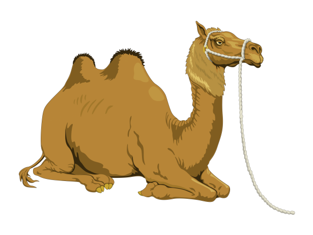 Camel Clipart Free Stock Photo - Public Domain Pictures