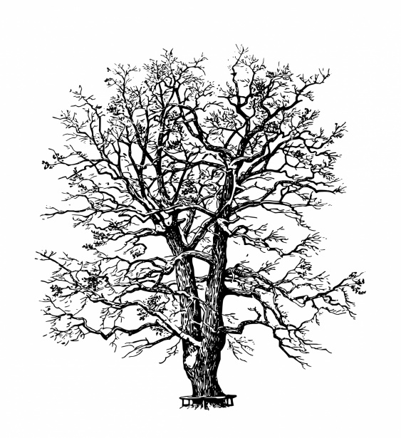 Tree In Winter Clipart Free Stock Photo - Public Domain Pictures