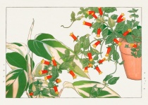 Watercolor Floral Vintage Art