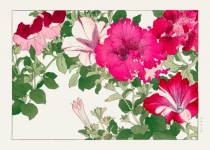 Watercolor Floral Vintage Art