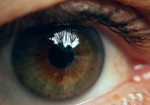 Eye See Pupil Iris