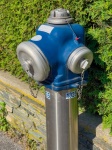 Blue Fire Hydrant