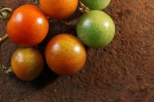 Cocktail Tomatoes On Rusted Metal