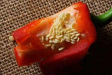 Core Of Cut Red Pepper On Hessian