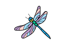 Dragonfly Colorful Art Illustration