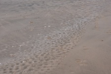 Footprints And Sand Texture