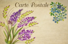 French Vintage Floral Card