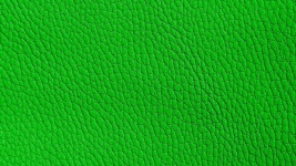 Green Embossed Leather Background