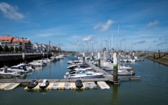Harbour, Sailboats, Marina
