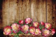 Wood Roses Flowers Background