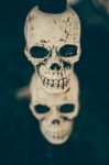 Human Skull Candle Holder