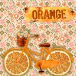 Orange Theme Bicycle Poster