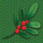 Holly Berry Christmas Illustration