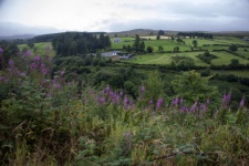 Northern Ireland Farms Landscape