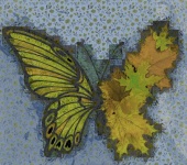 Autumn Butterfly Leaves Art