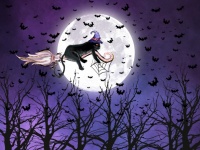 Halloween Witch Cat Flying