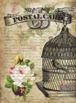 Vintage Postcard Birdcage