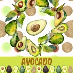 Avocado Fruit Poster