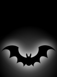 Bat Illustration Poster