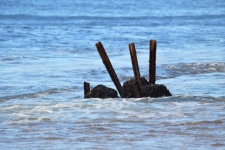 Driftwood In The Ocean