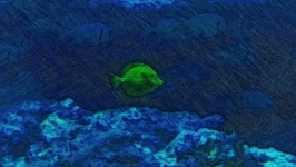 Tang Fish In Ocean