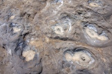 Small Rock Craters