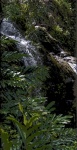 Hana Highway Waterfall