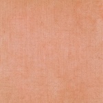 Canvas Texture Background Orange