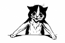 Funny Cat Drawing Clipart
