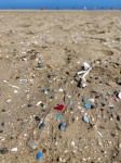 Microplastics On The Beach