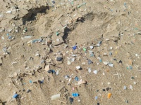Microplastics On The Beach