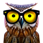 Modern Owl Portrait