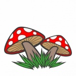 Mushrooms Cartoon Clipart