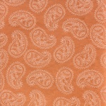 Paisley Background Texture Pattern