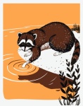 Raccoon Cute Art Illustration