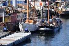 Sailboats In Netherlands Port
